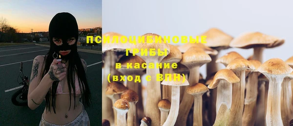 крисы Новозыбков