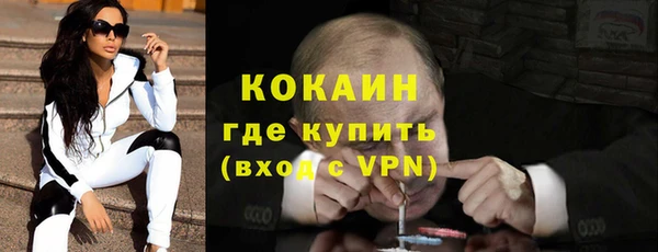 бошки Новодвинск