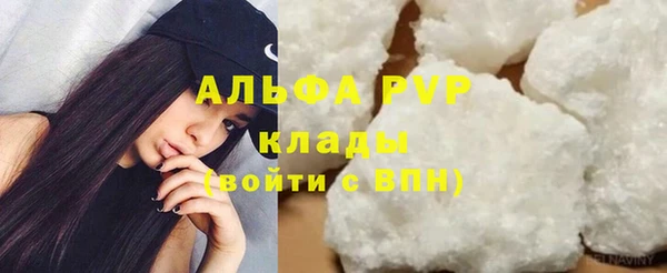 СК Новокубанск