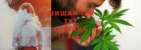 бошки Новодвинск
