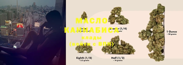 крисы Новозыбков