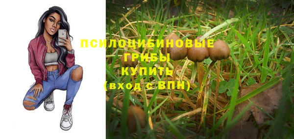 СК Новокубанск