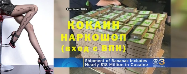 крисы Новозыбков