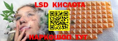 шишки Нарткала