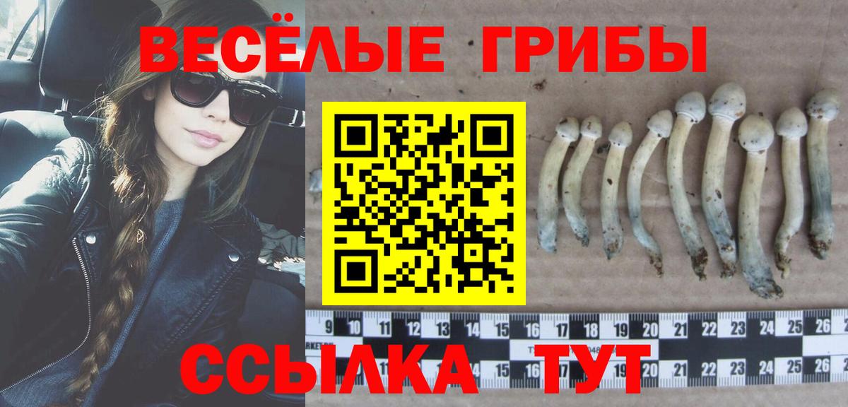 Сальск  Псилоцибиновые грибы ЛСД  Вход с VPN  Галлюциногенные грибы мухоморы 